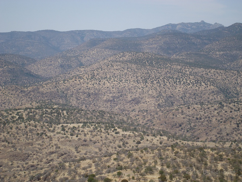 Big Bend 2009 086