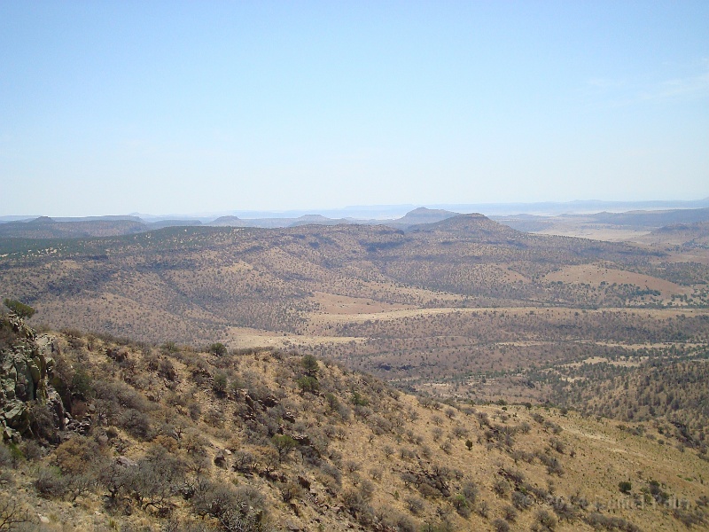 Big Bend 2009 089